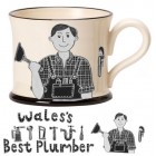Wales Best Plumber Mug